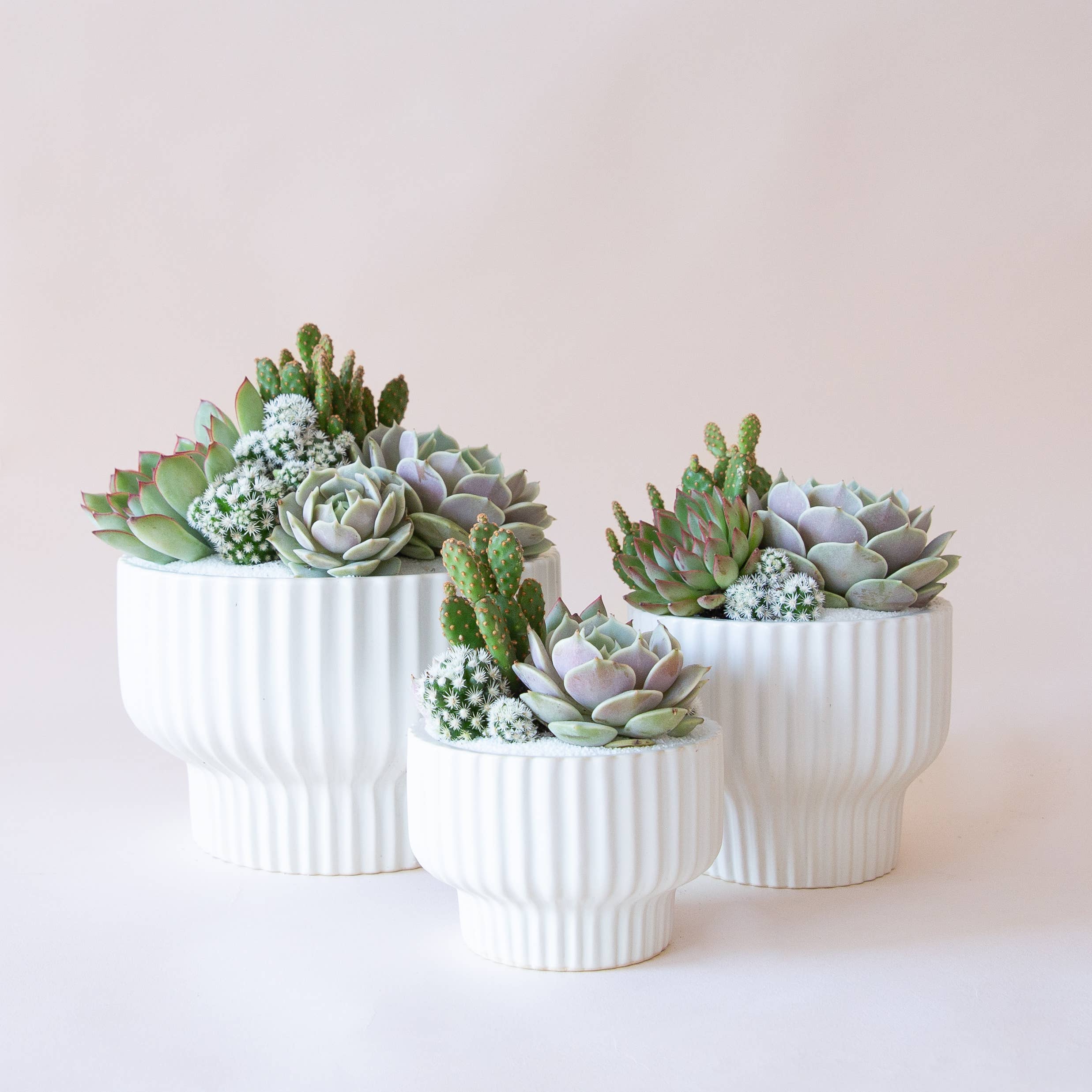 8 inch ceramic pots for plants Presley Pedestal Planter