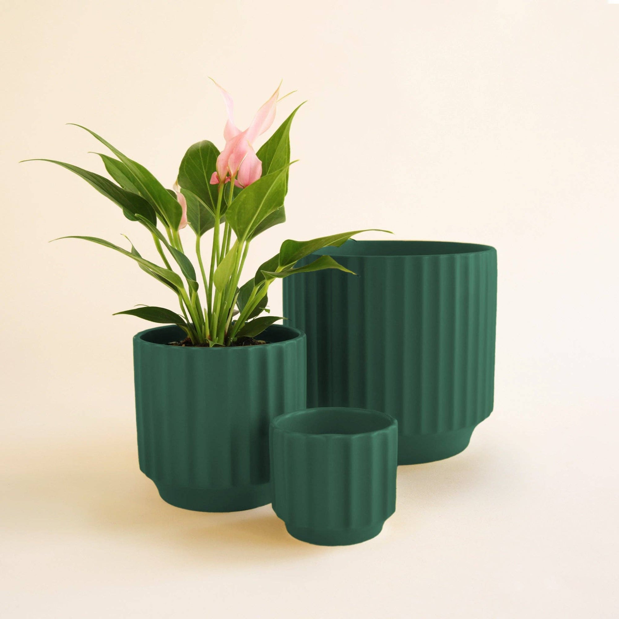 Monroe Planter | Rainforest: 3 inch