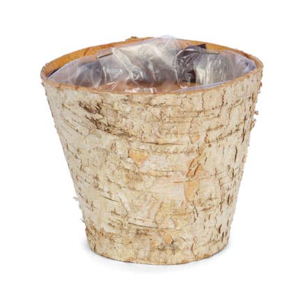 Round Birch Planter