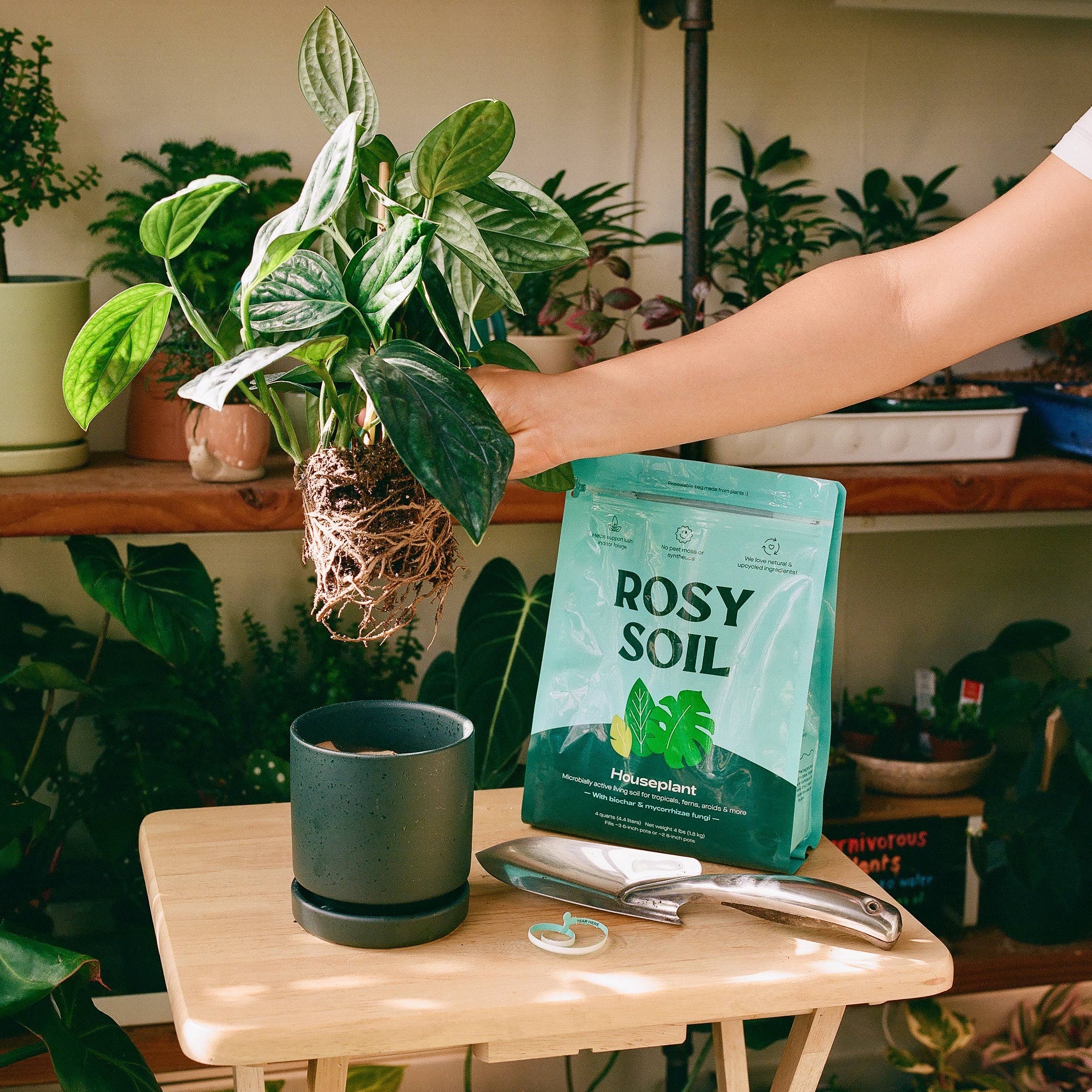 4qt Organic potting soil mix, indoor, houseplant & herbs