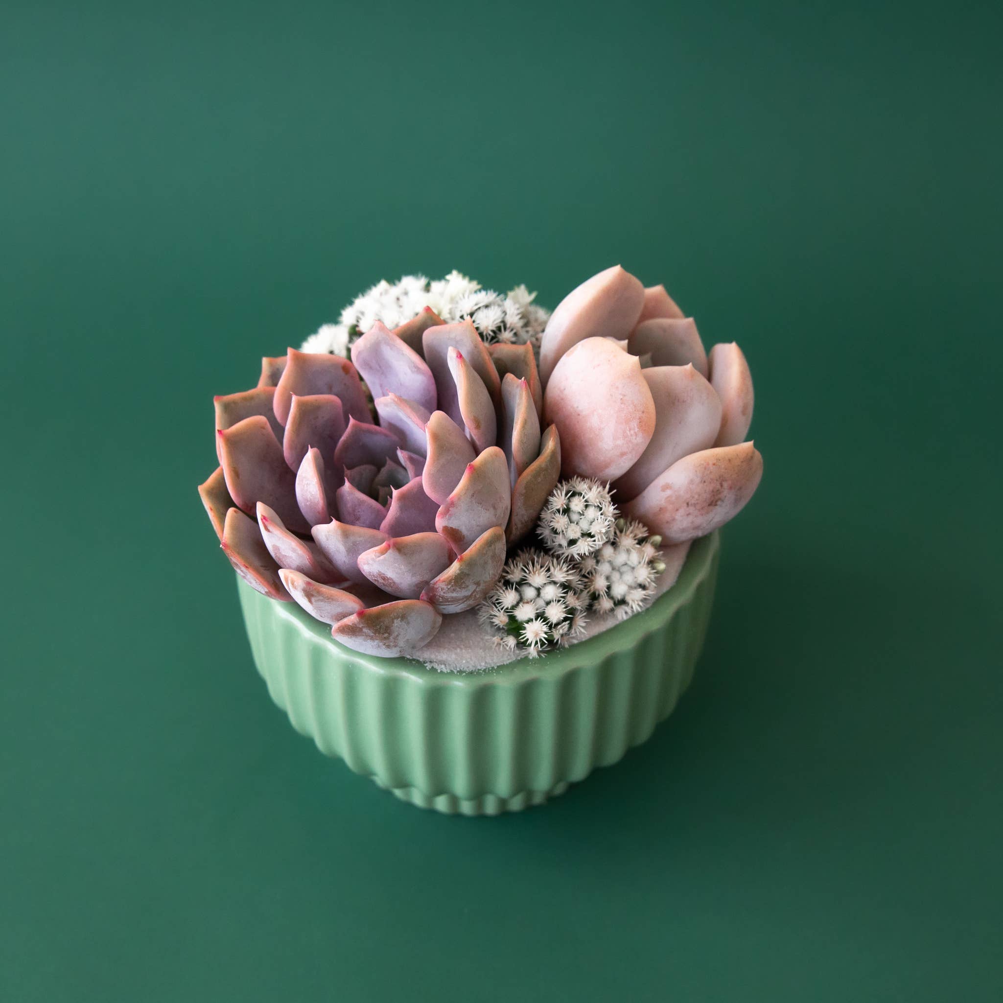 Presley Pedestal Pot | Jade: 5.5 inch