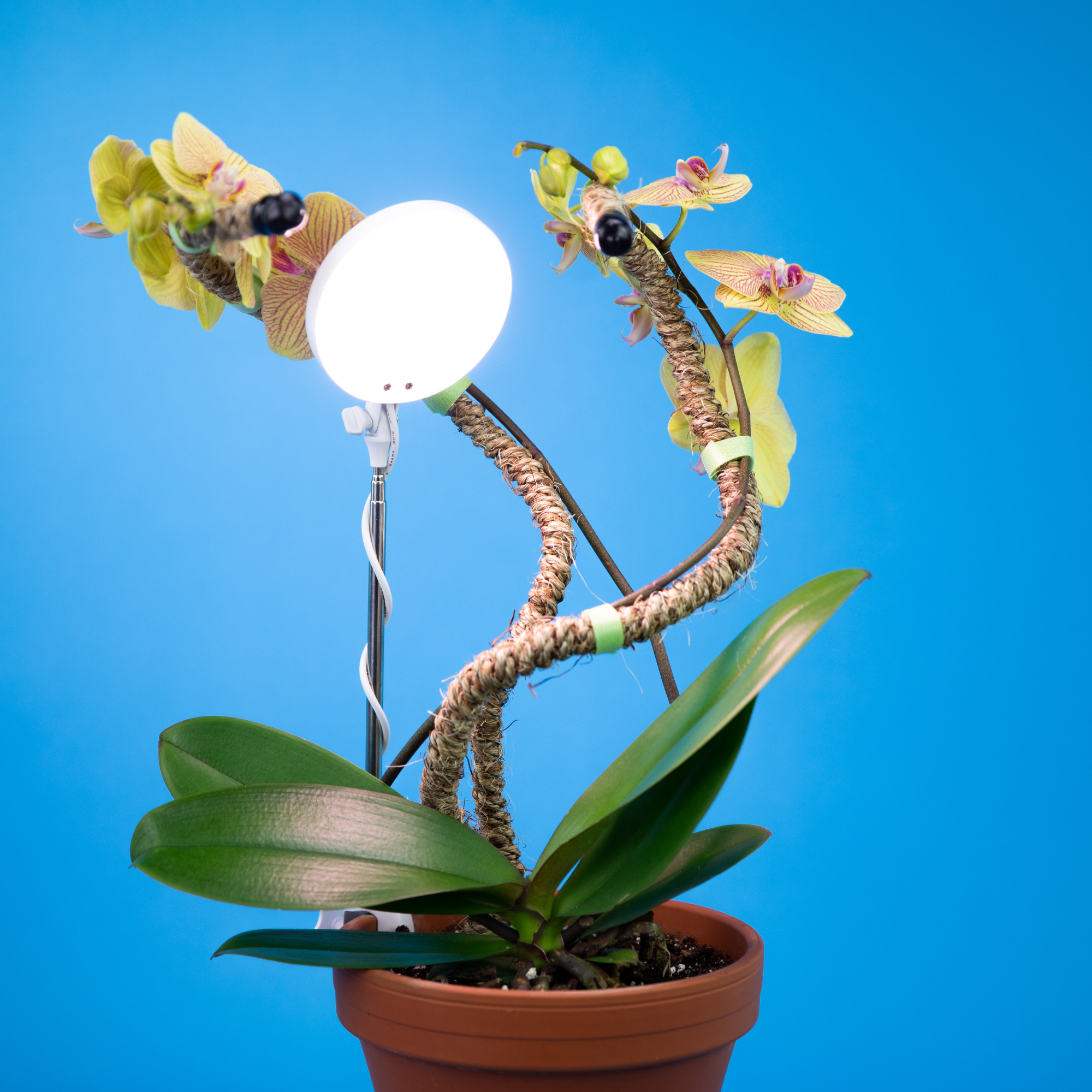 28" Adjustable LED Plant Light Grow Clip Lamp for Houseplant: White