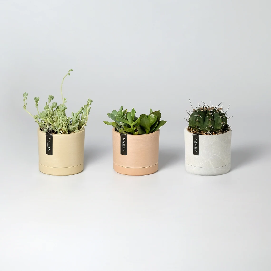 3.5" Mini Planter | Beachwood