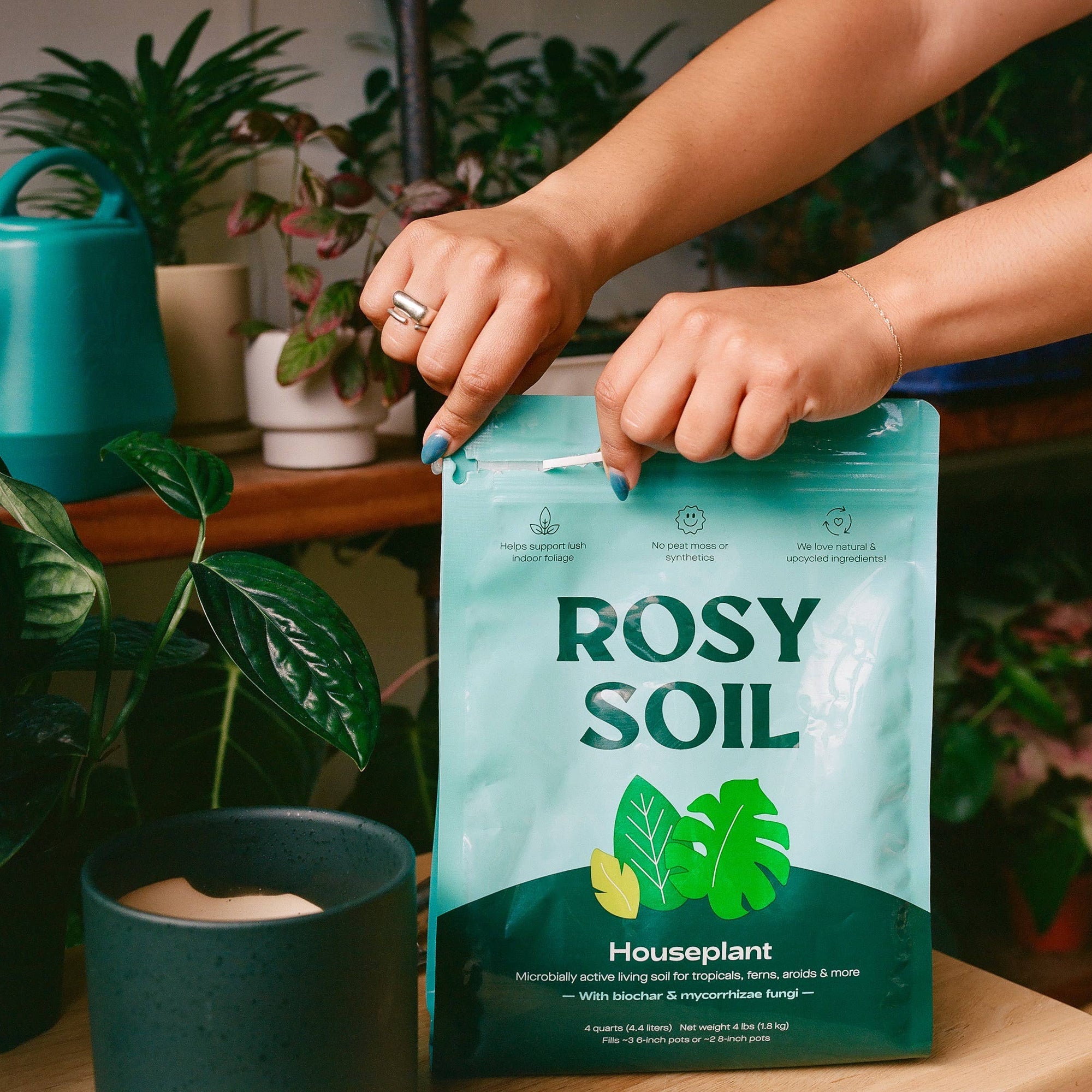 4qt Organic potting soil mix, indoor, houseplant & herbs