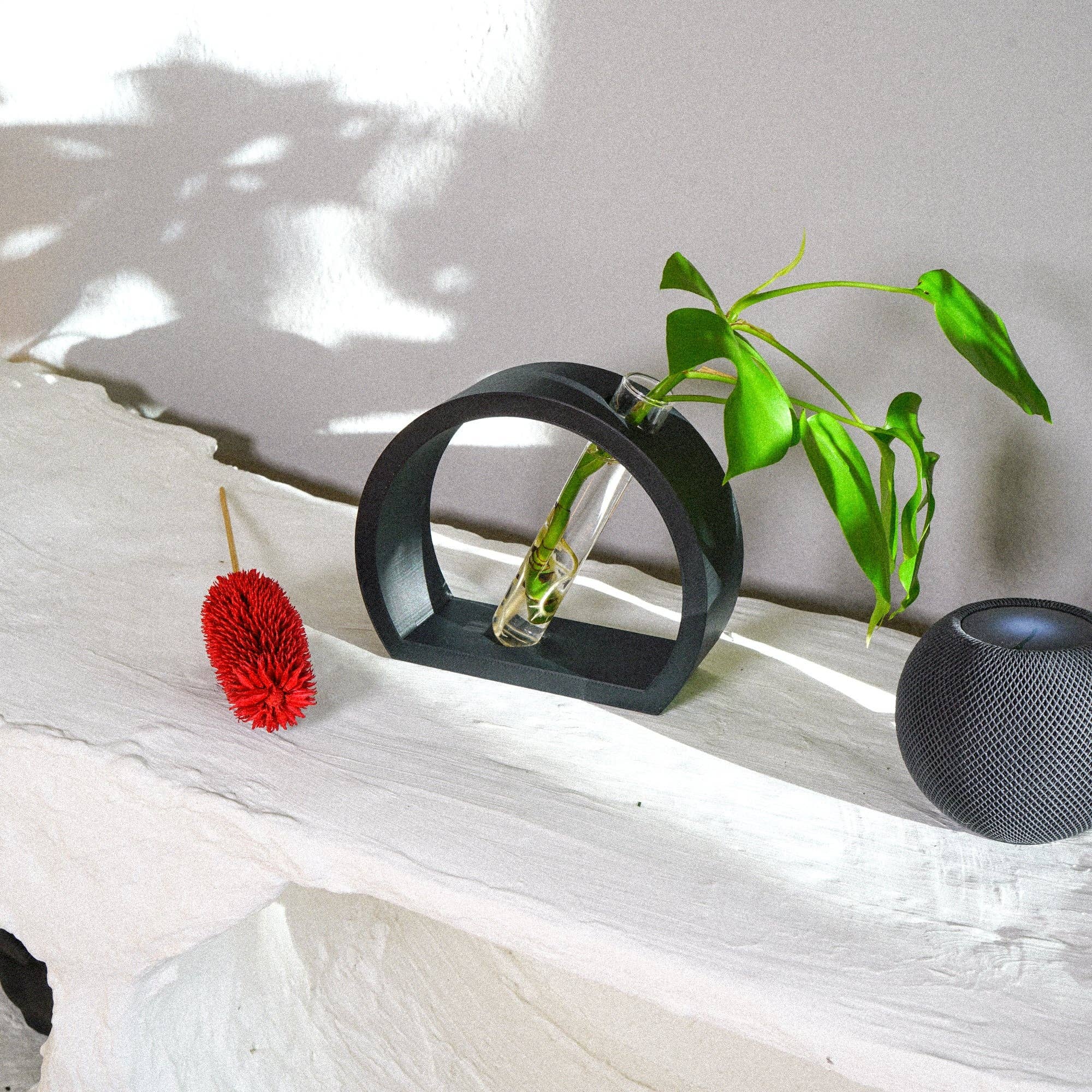 Black circular vase with a plant on a white surface