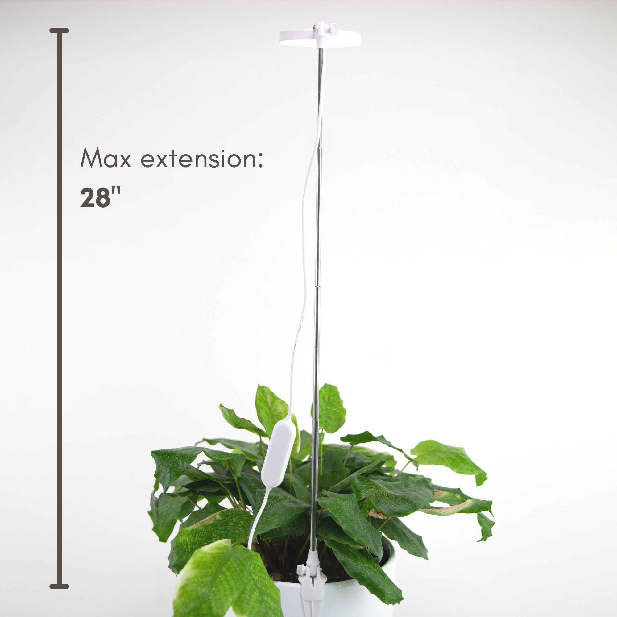28" Adjustable LED Plant Light Grow Clip Lamp for Houseplant: White