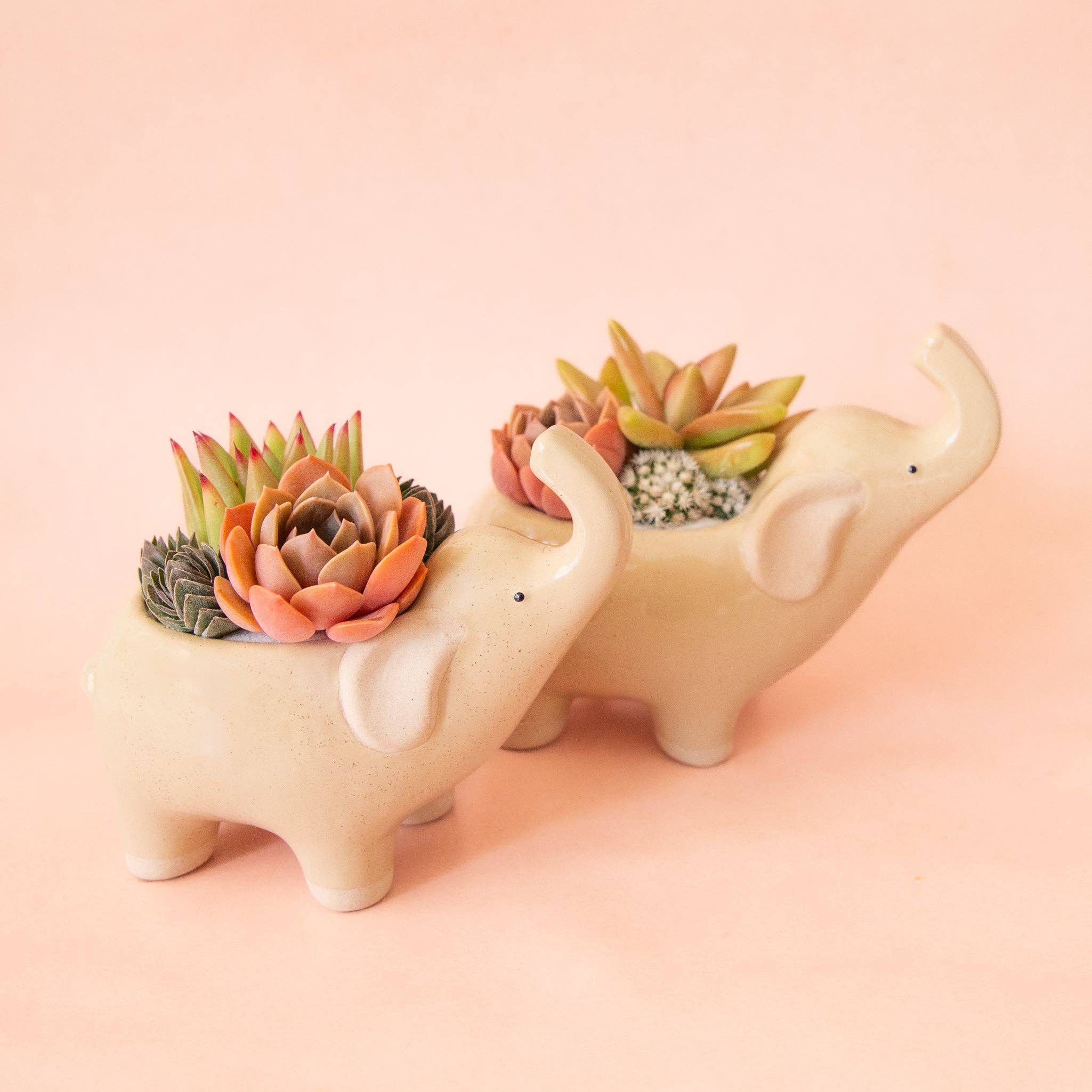 Elephant Planter | Sand: M