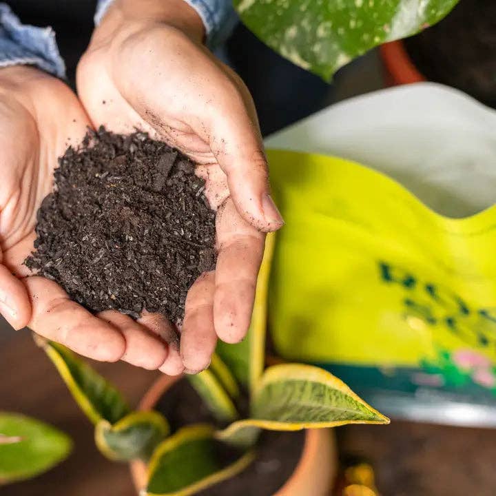4qt Plant Food