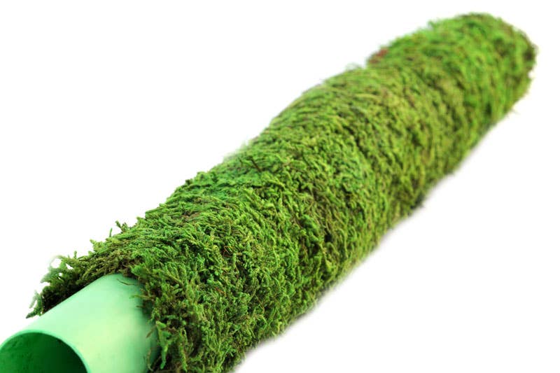 24" SuperMoss Moss Pole