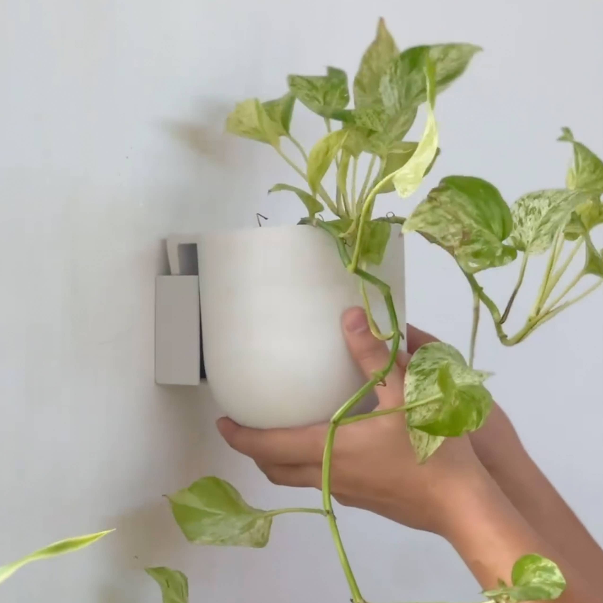 5.5" Wall Mounted Planter Pot | Recycled Plastic