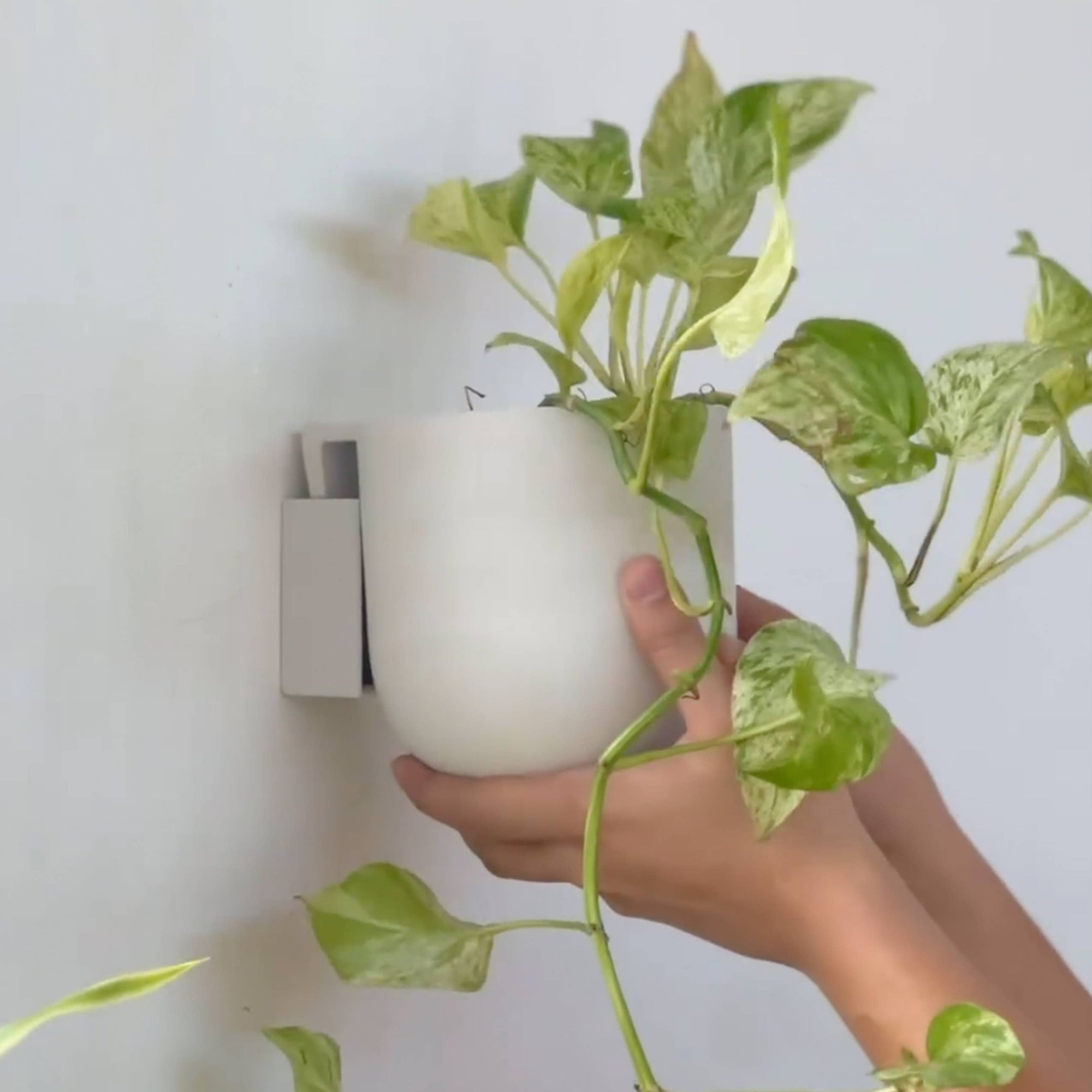 7" Wall Mounted Planter Pot | Recycled Plastic