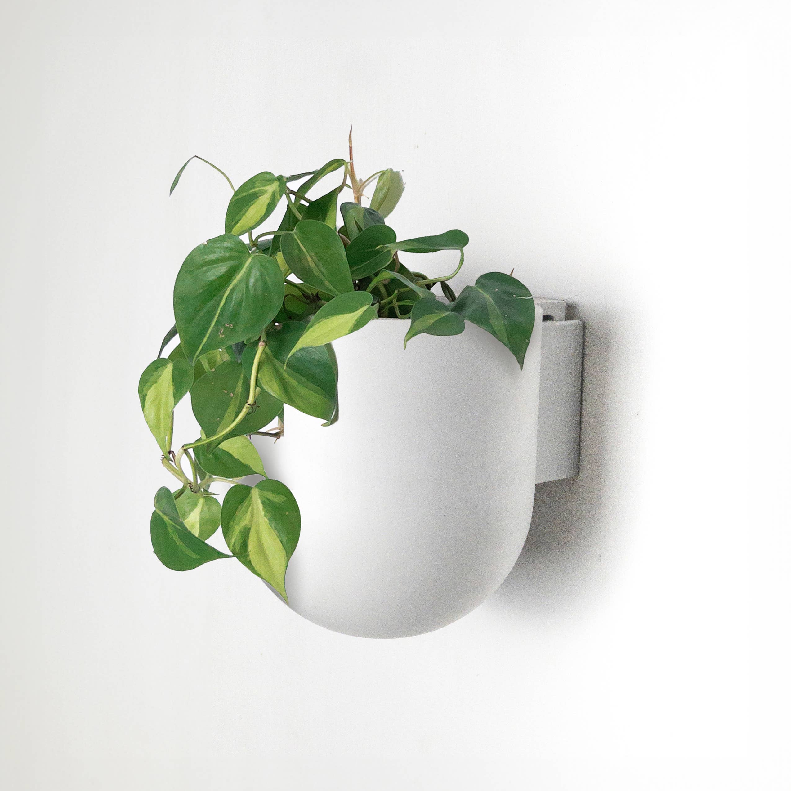 7" Wall Mounted Planter Pot | Recycled Plastic