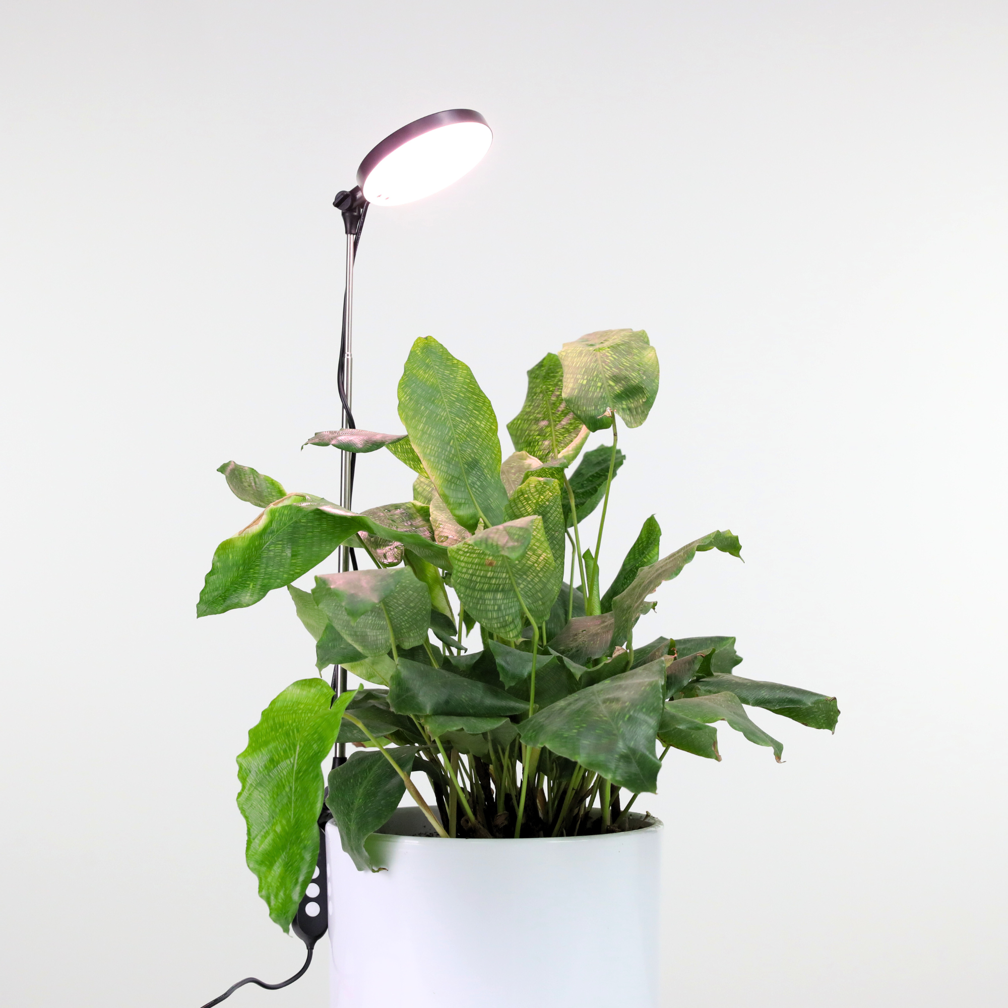 28" Adjustable LED Plant Light Grow Clip Lamp for Houseplant: Black