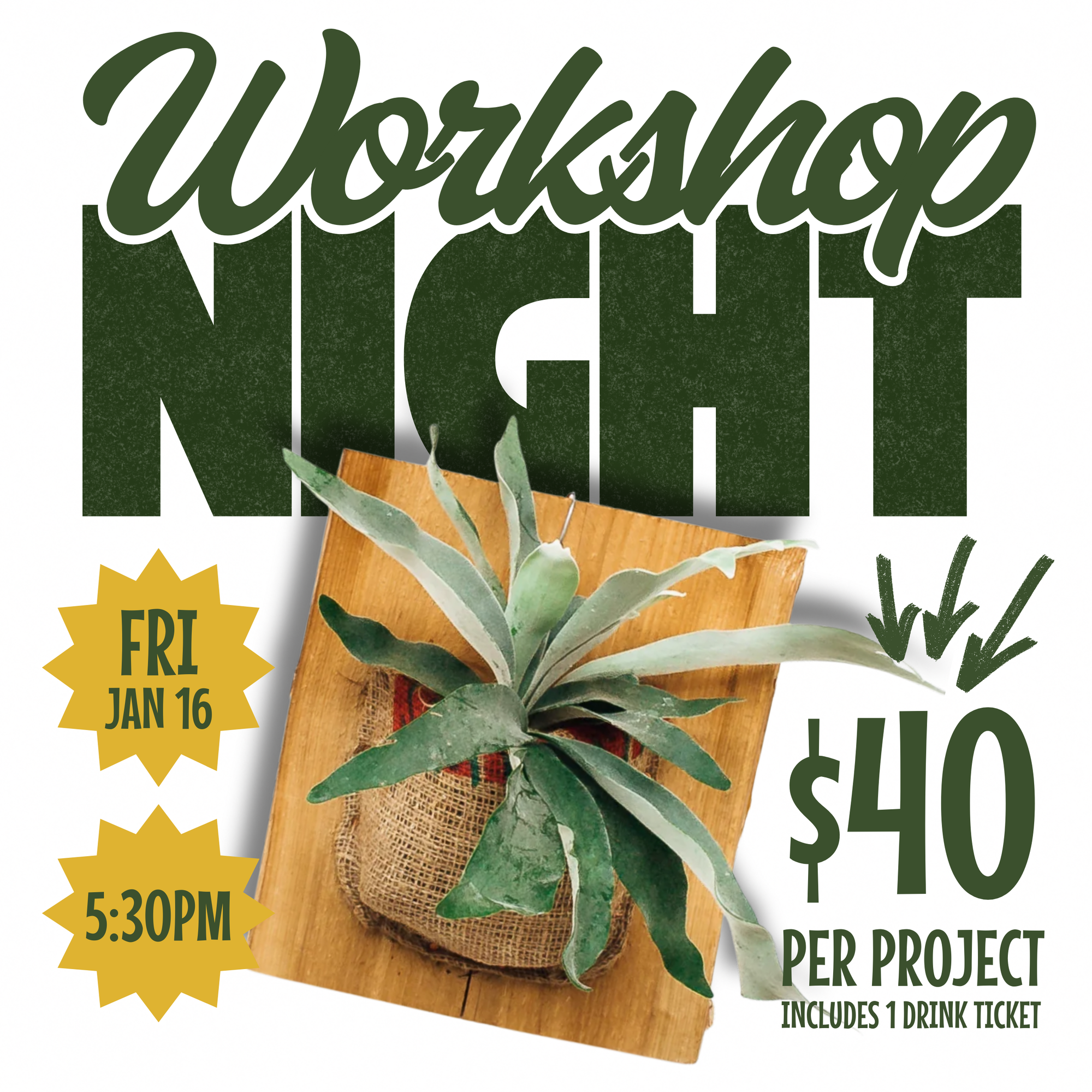 Workshop: Burlap-Mounted Staghorn Fern