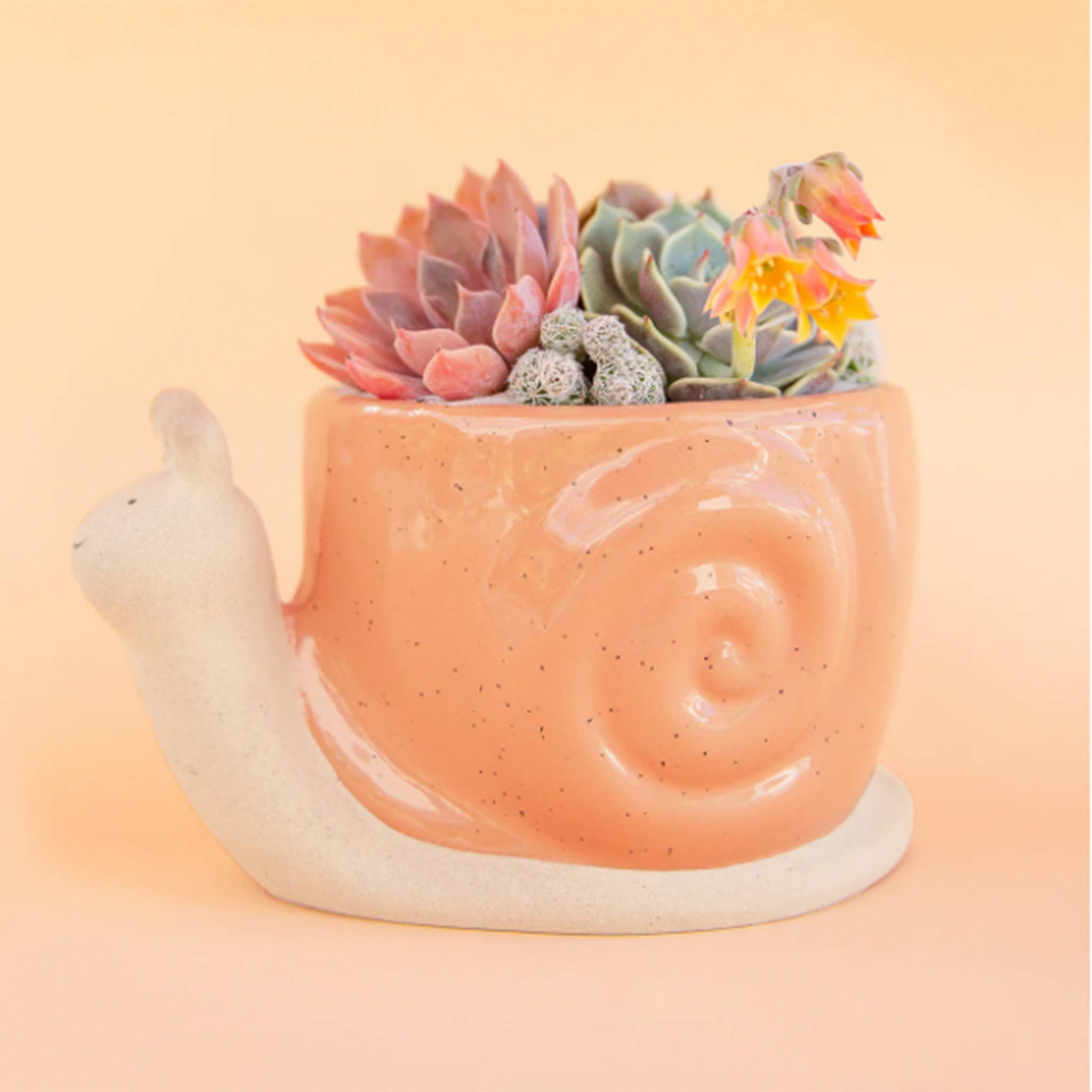Snail Planter | Sunset: M