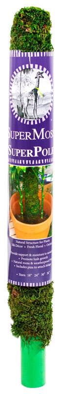 super moss pole 24" SuperMoss Moss Pole – Seedy's Plants