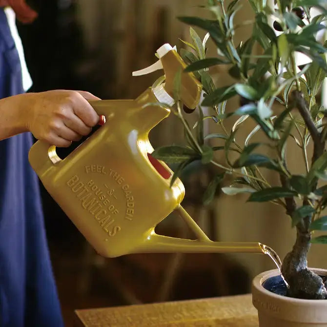 Spray Sprinkler: Cream