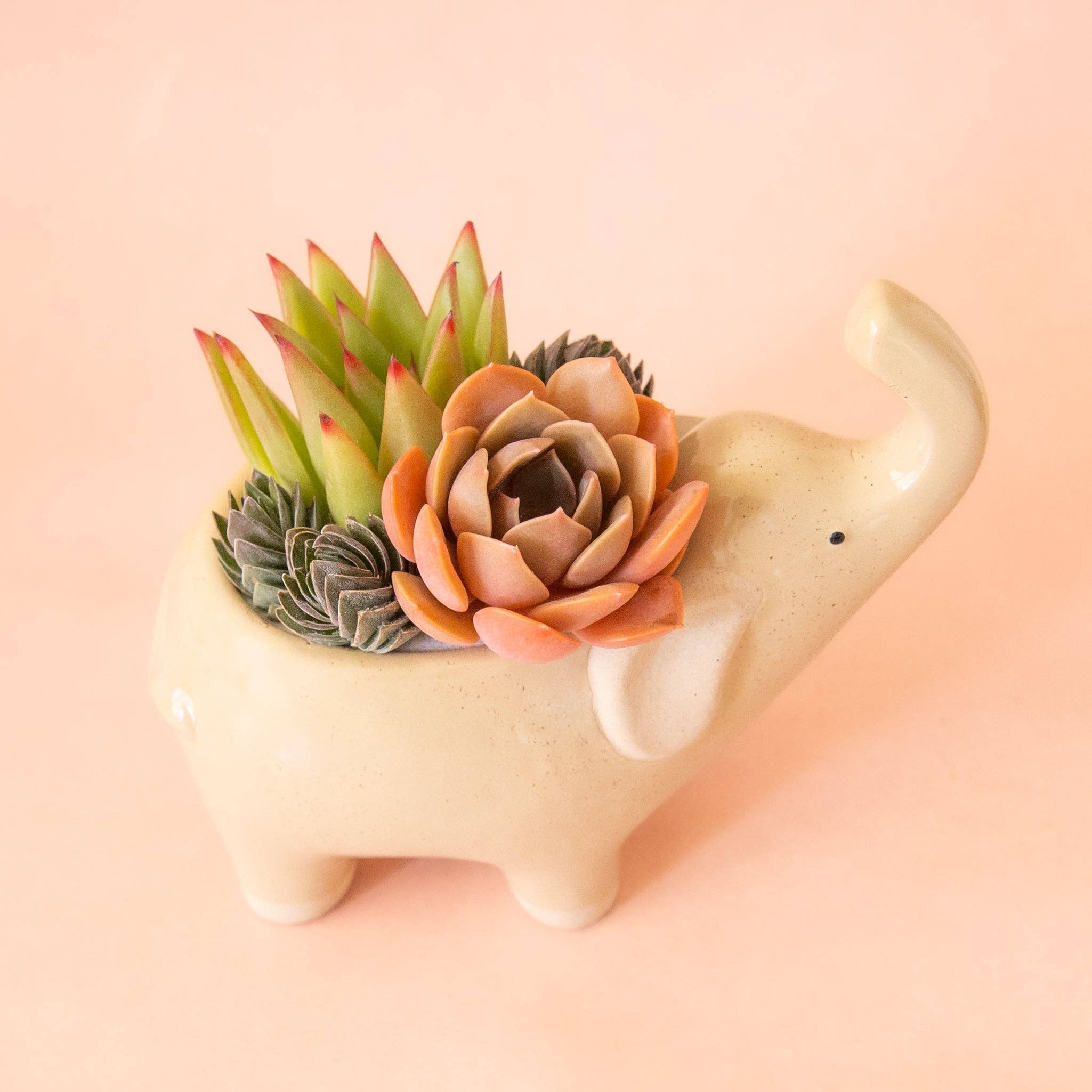 Elephant Planter | Sand: S