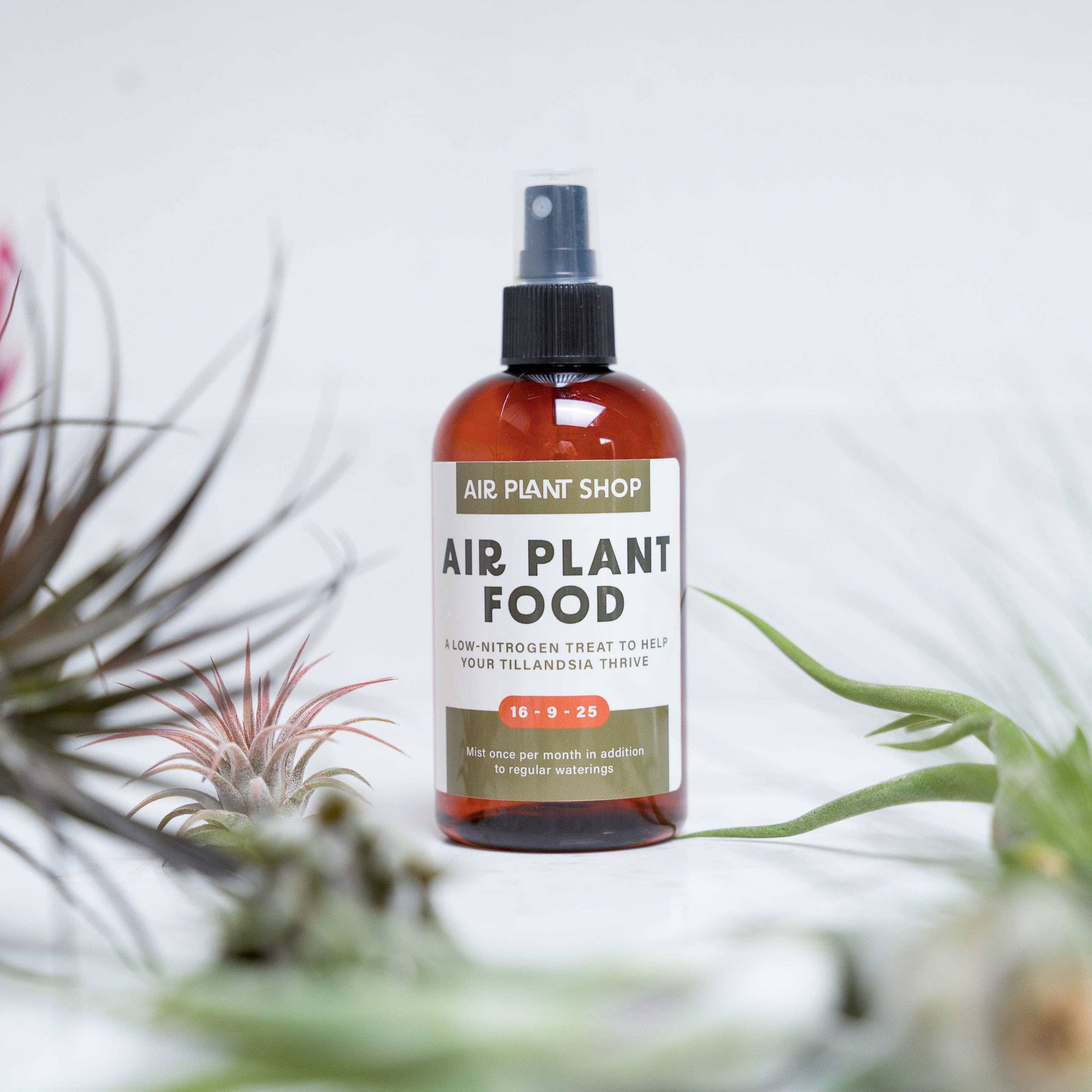 Ready-To-Use Tillandsia Air Plant Fertilizer