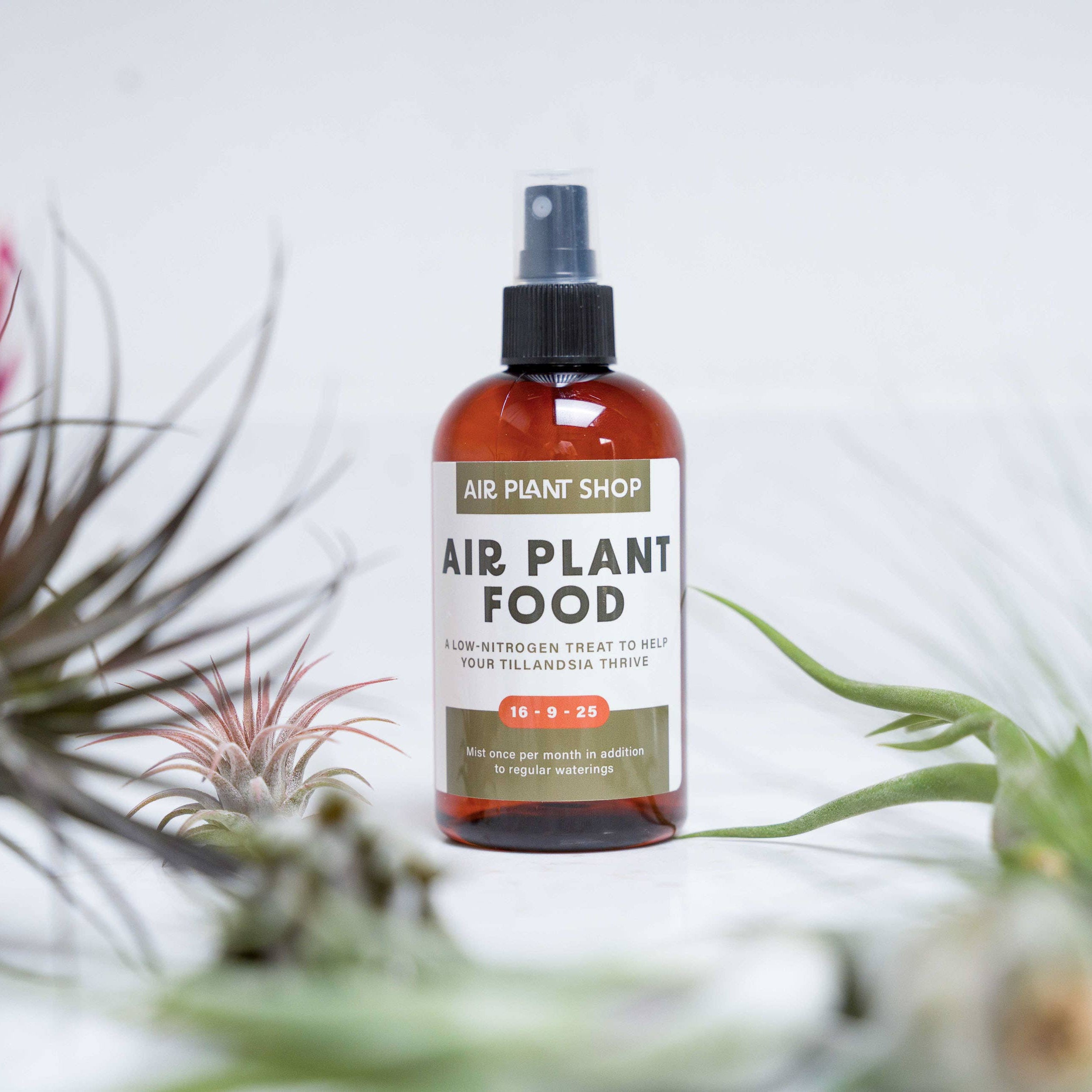 Ready-To-Use Tillandsia Air Plant Fertilizer