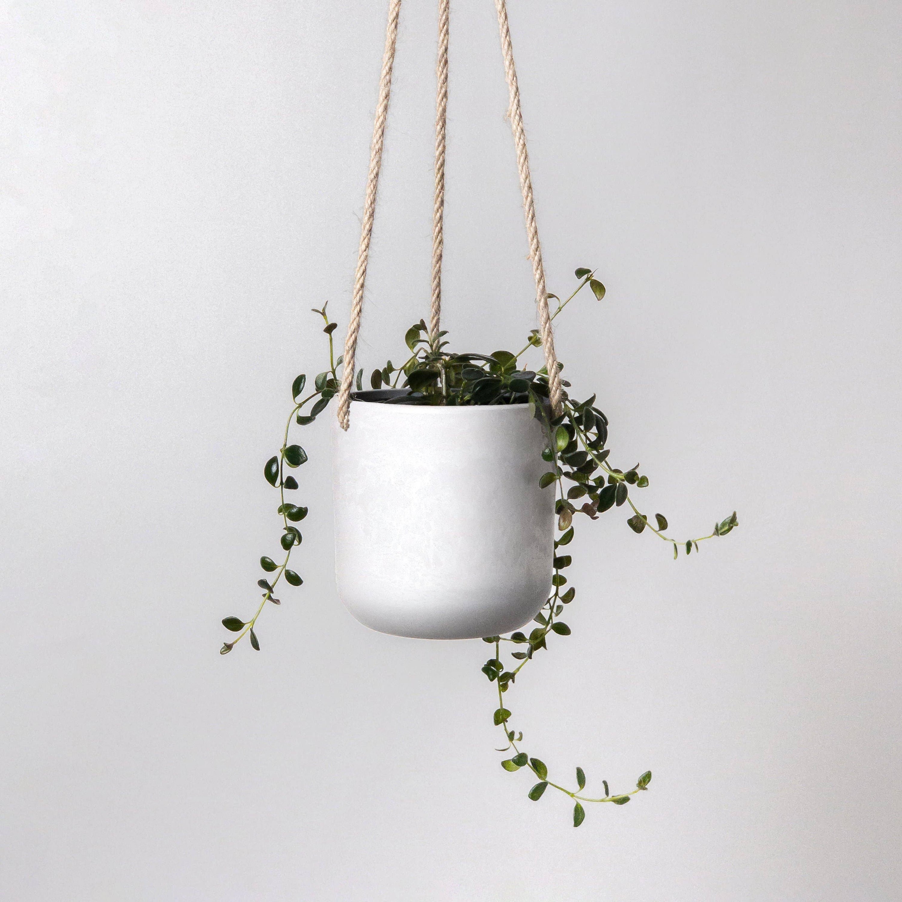 4" Stone Hanging Planter: Olive Sage