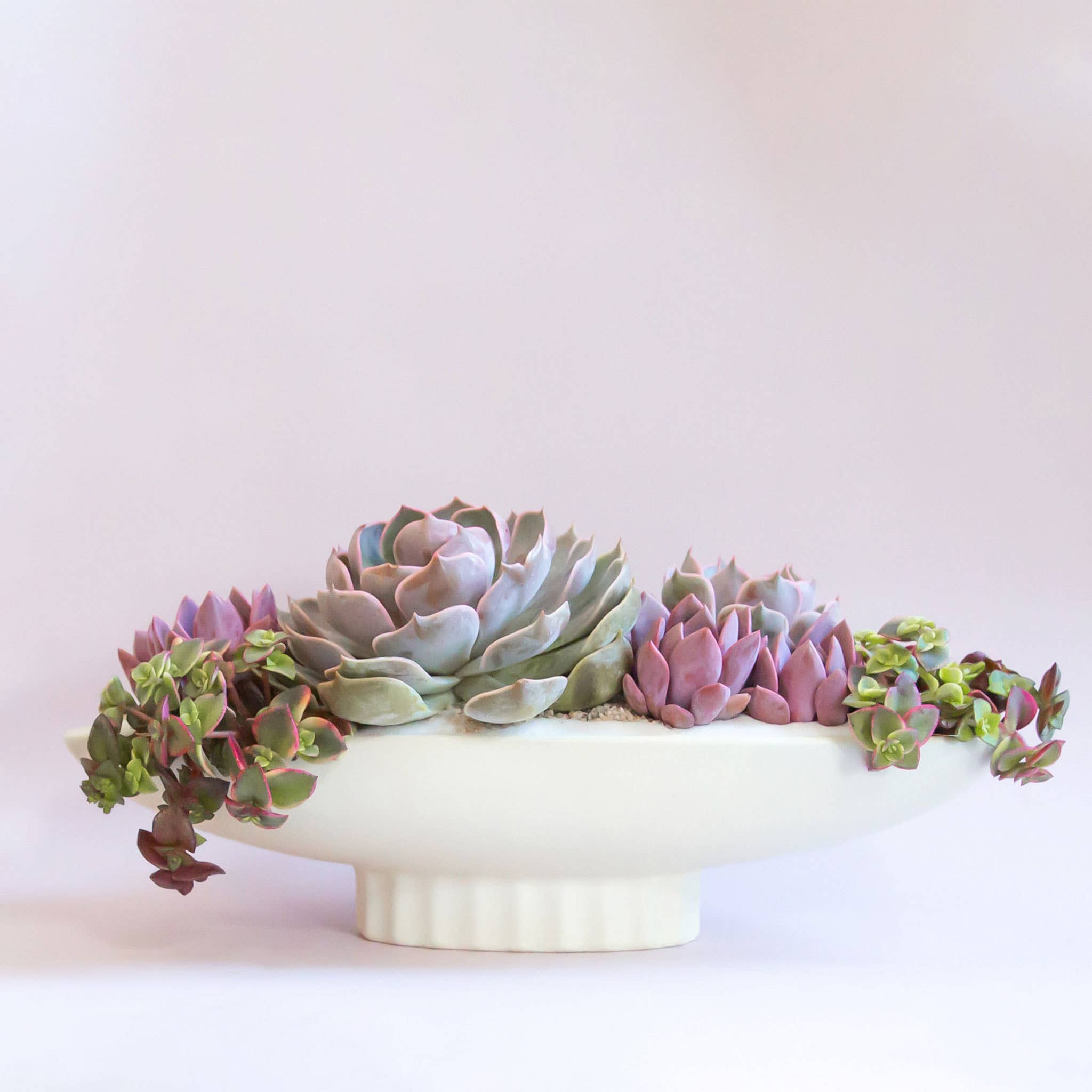 Luna Boat Bowl | Vintage White