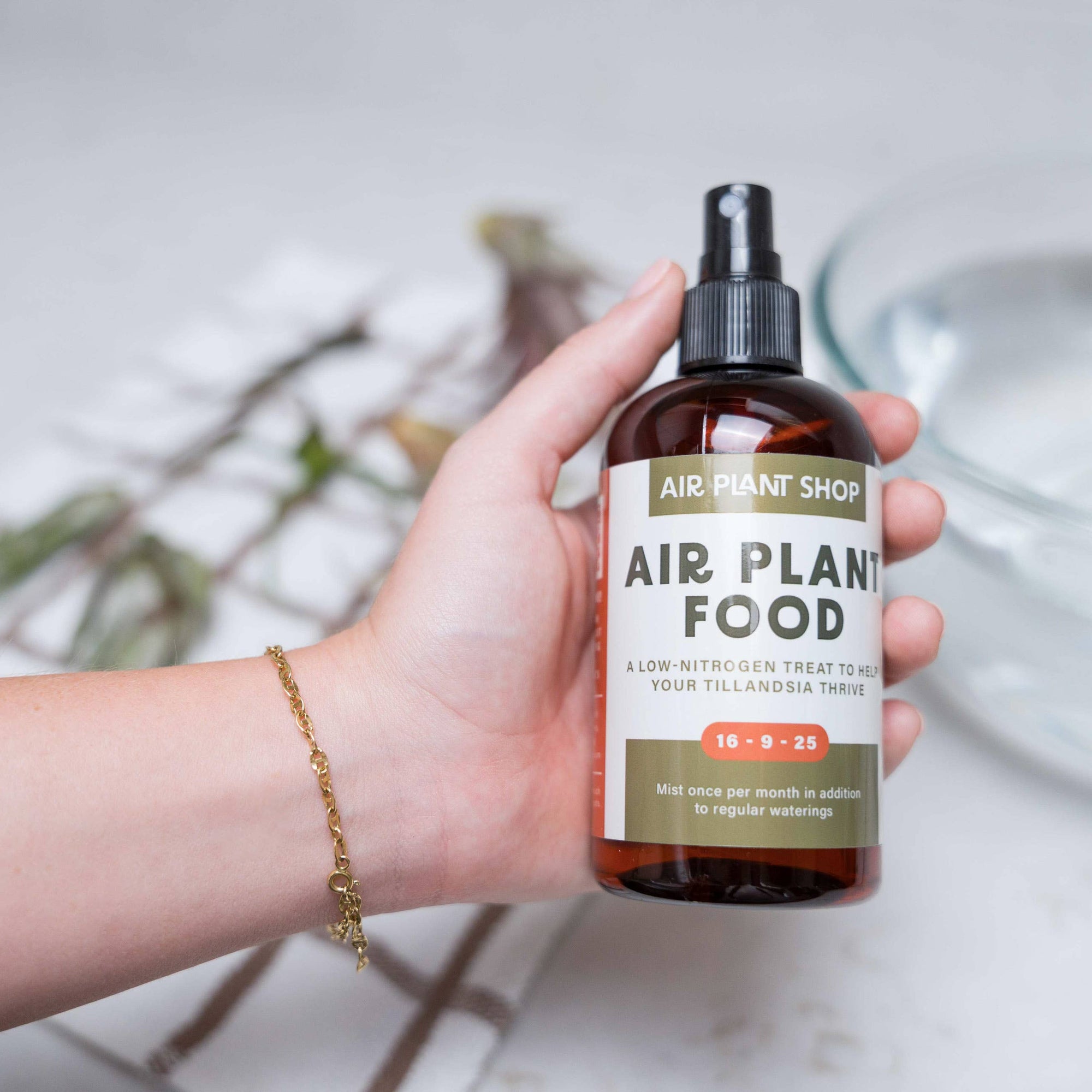 Ready-To-Use Tillandsia Air Plant Fertilizer