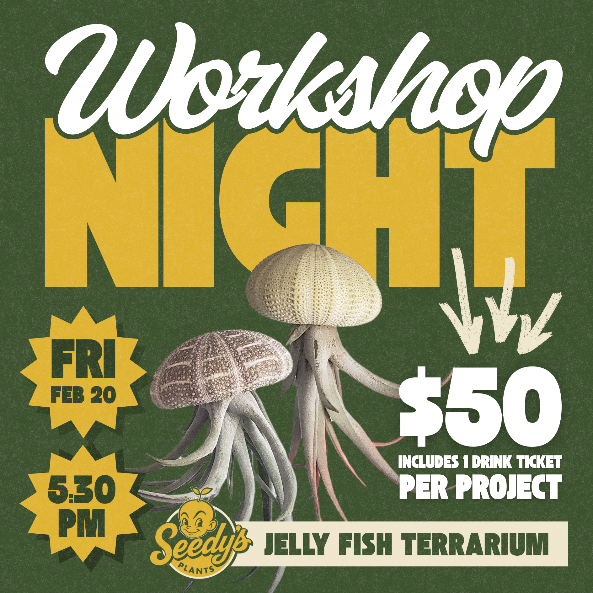 Workshop: Jellyfish Terrarium