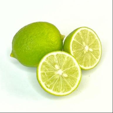 CITRUS Key Lime Tree (Mexican Lime)