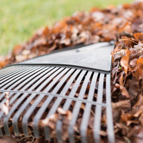 Landscape Clean-up Services