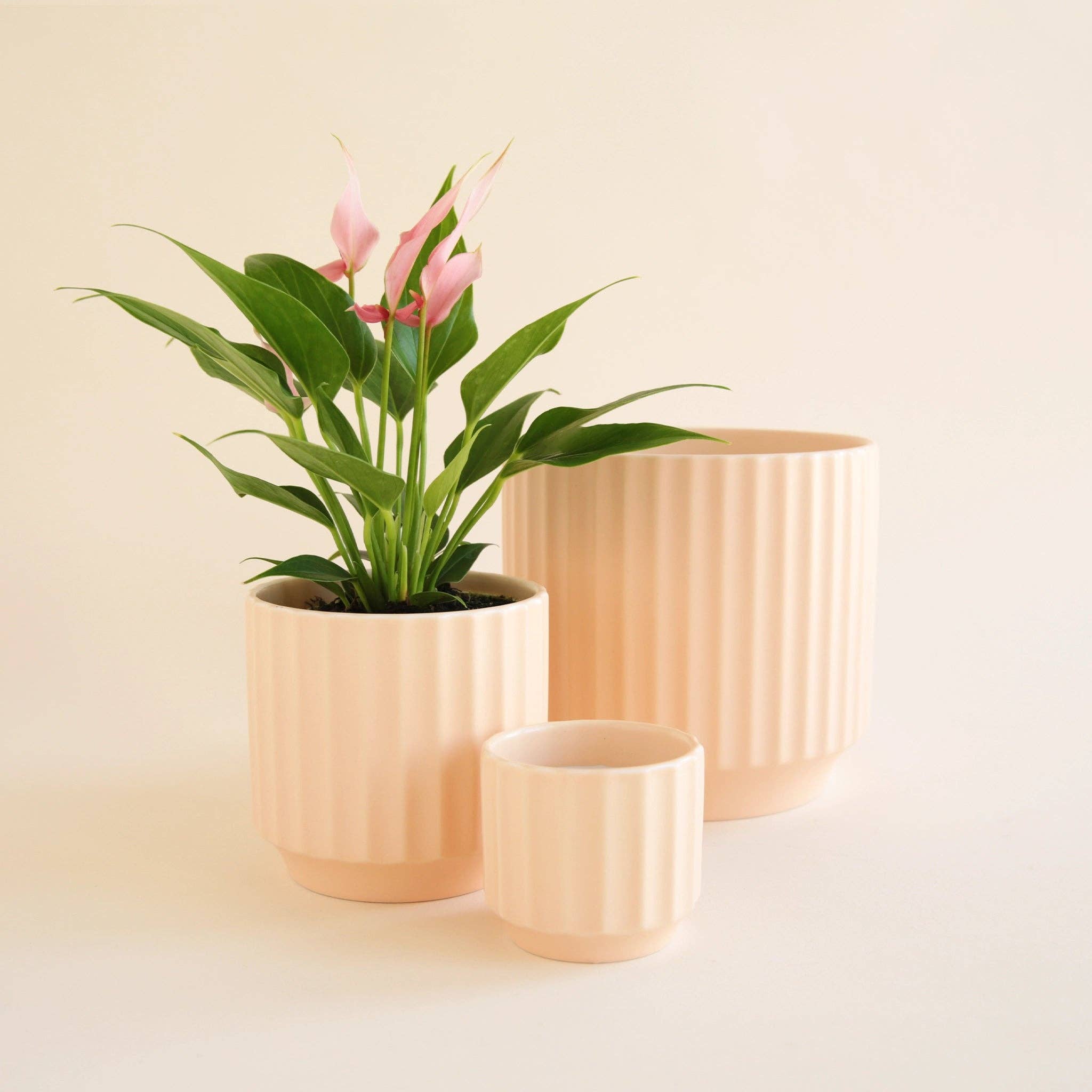 Monroe Planter | Vanilla: 3 inch