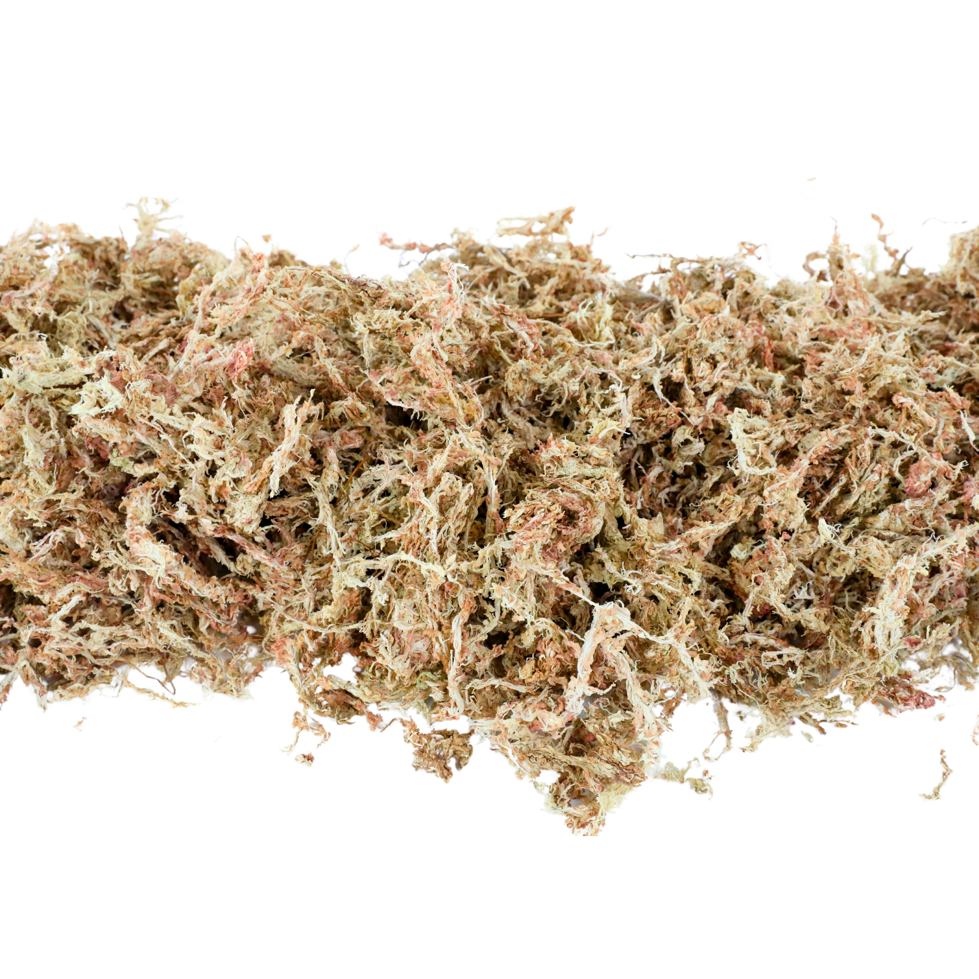 Long Fiber Sphagnum Moss – For Orchids & Kokedamas: 50g