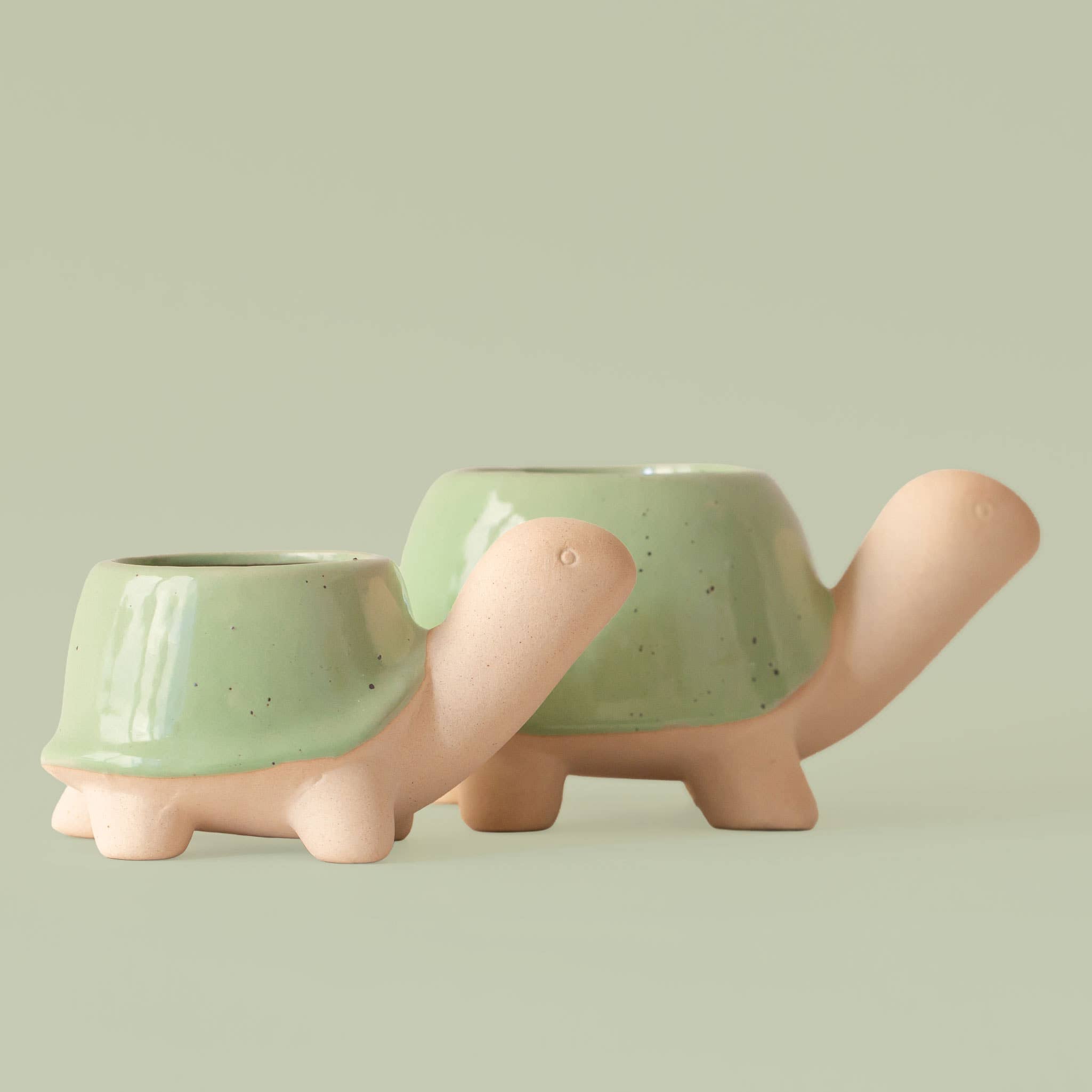 Turtle Planter | Speckle Glazed Shell: Medium