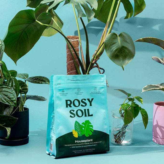 4qt Organic potting soil mix, indoor, houseplant & herbs