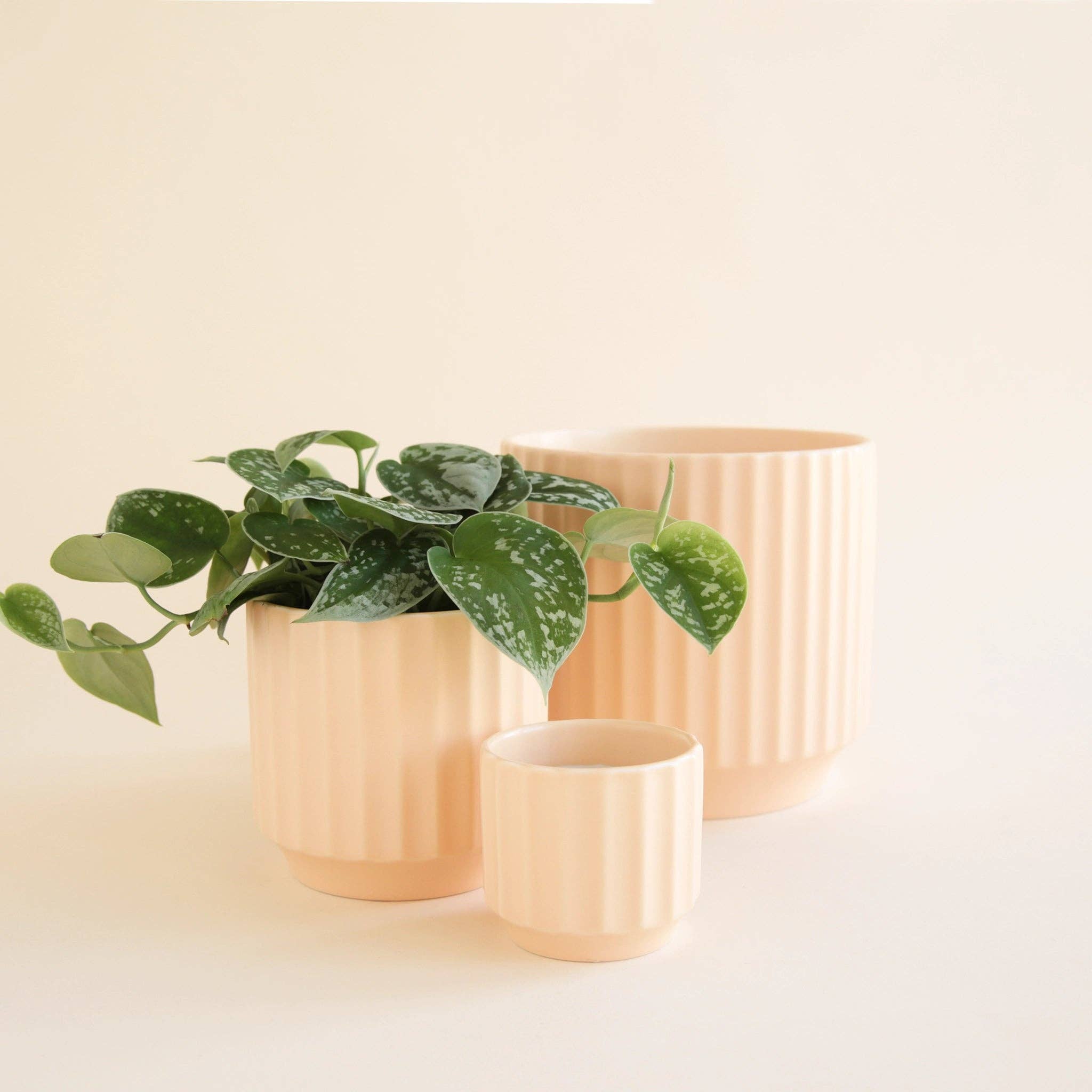 Monroe Planter | Vanilla: 4.5 inch