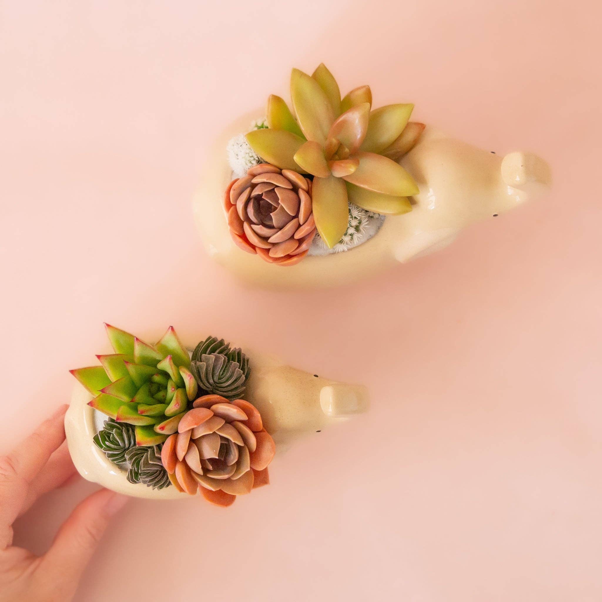 Elephant Planter | Sand: M