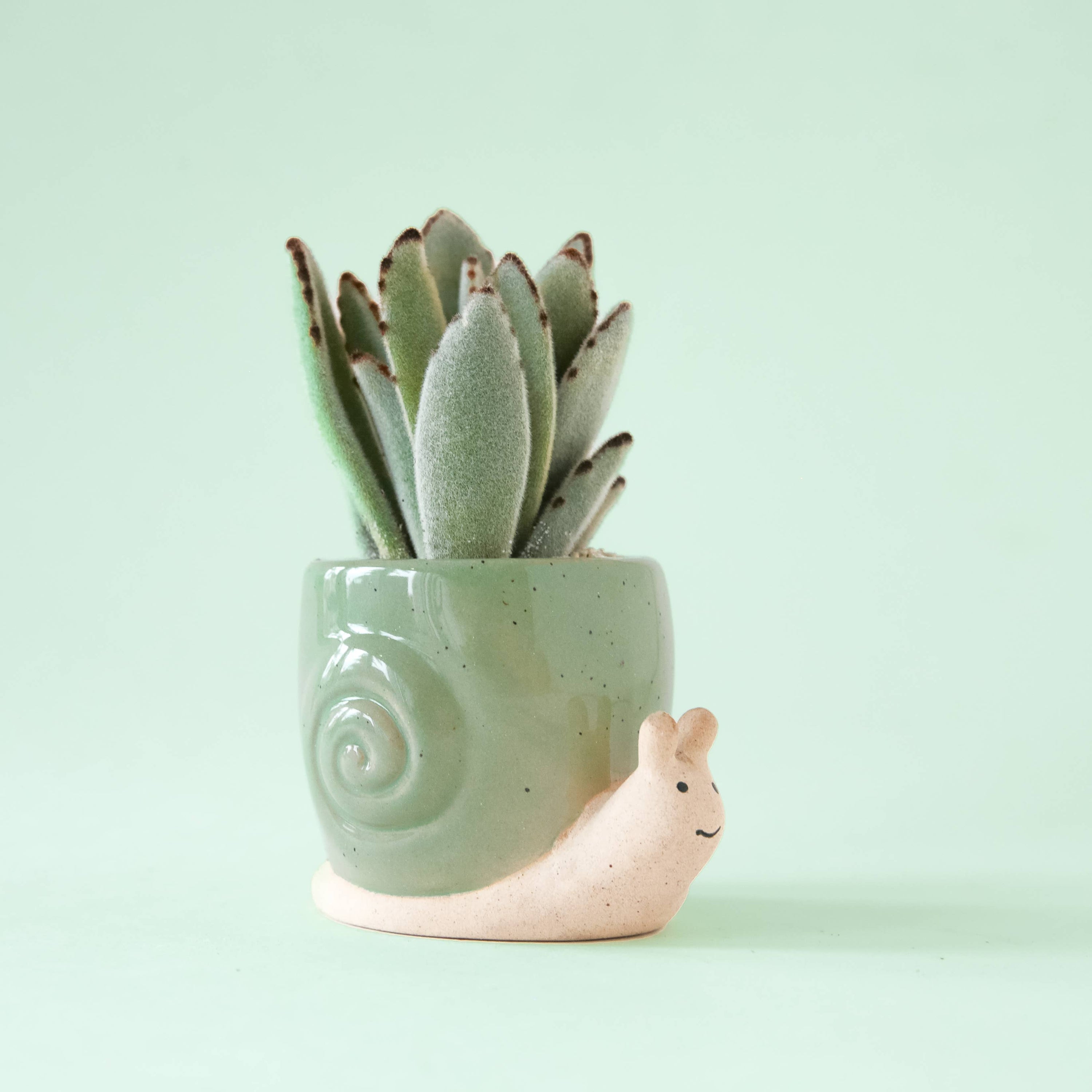 Snail Planter | Lagoon: M