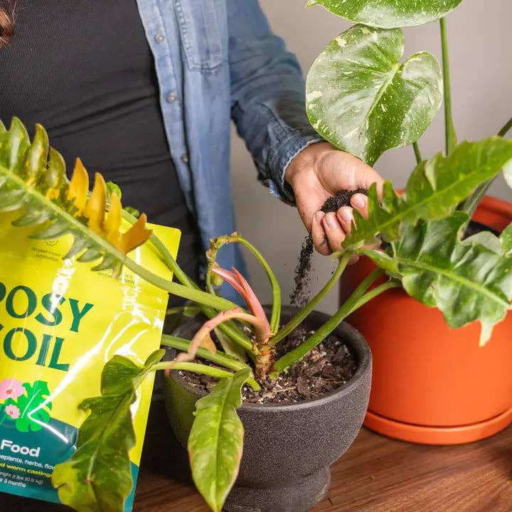 4qt Plant Food
