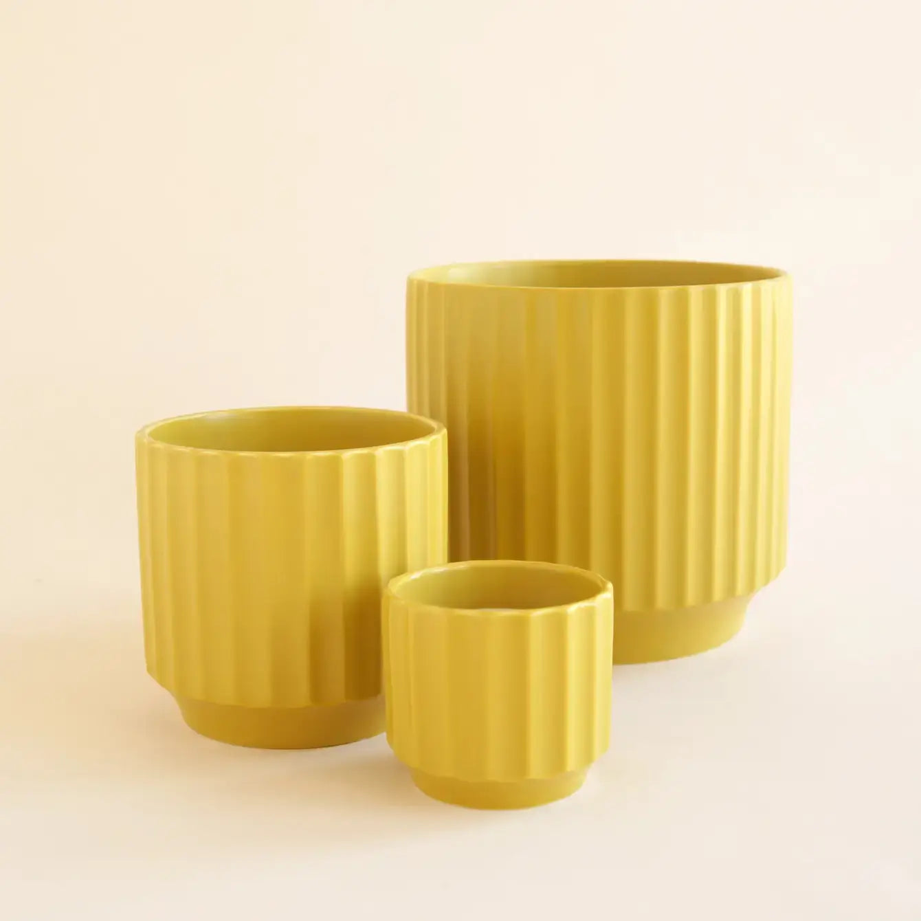 Monroe Planter | Palm : 6.75 inch