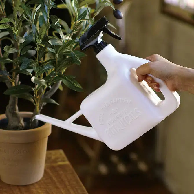 Spray Sprinkler: Cream