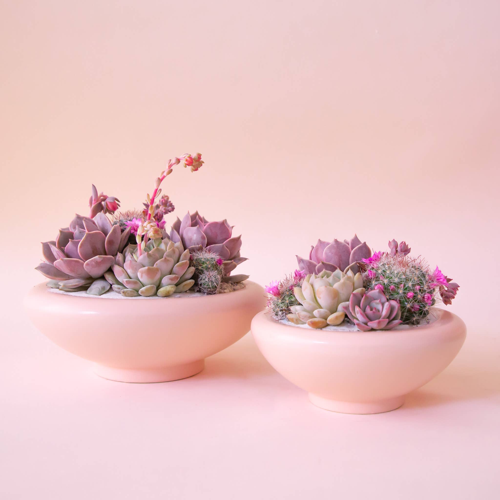 Birdie Bowl | Petal Pink: 8.25 inch