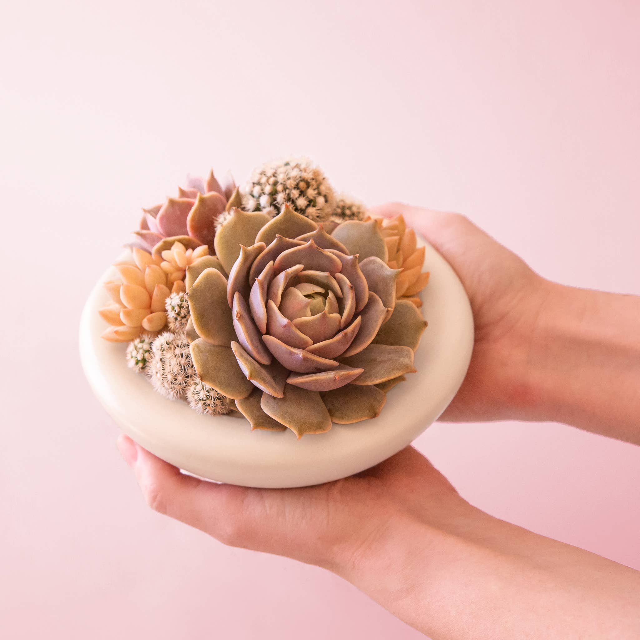 Birdie Bowl | Vintage White : 6.25 inch