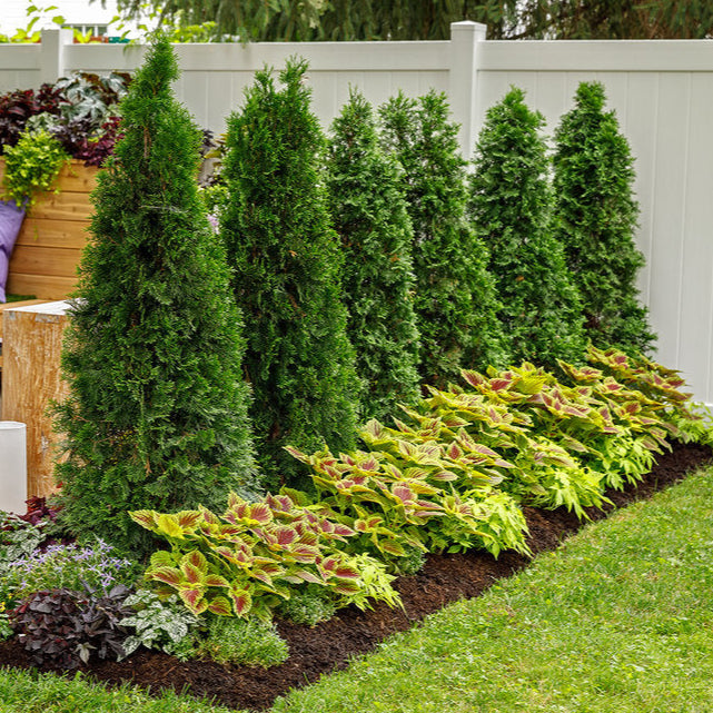 Garden with a wooden bench, plants, and a white fence.